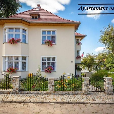 Appartamento Dom Pod Rybia Skala Jelenia Góra Esterno foto