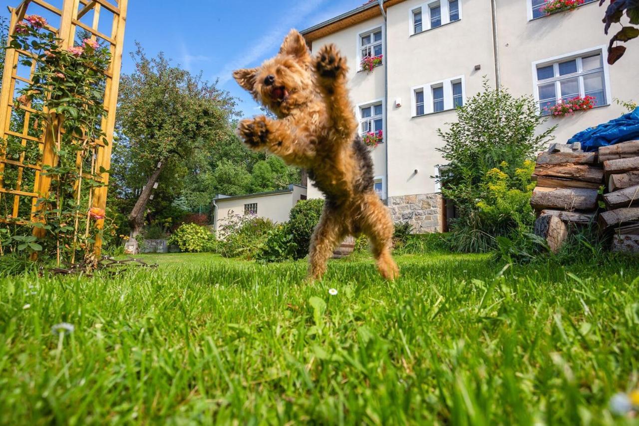 Appartamento Dom Pod Rybia Skala Jelenia Góra Esterno foto